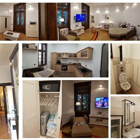Ella Apartment Timisoara No9 Buitenkant foto