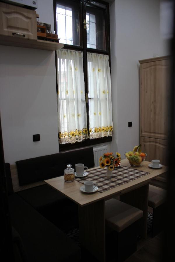 Ella Apartment Timisoara No9 Buitenkant foto