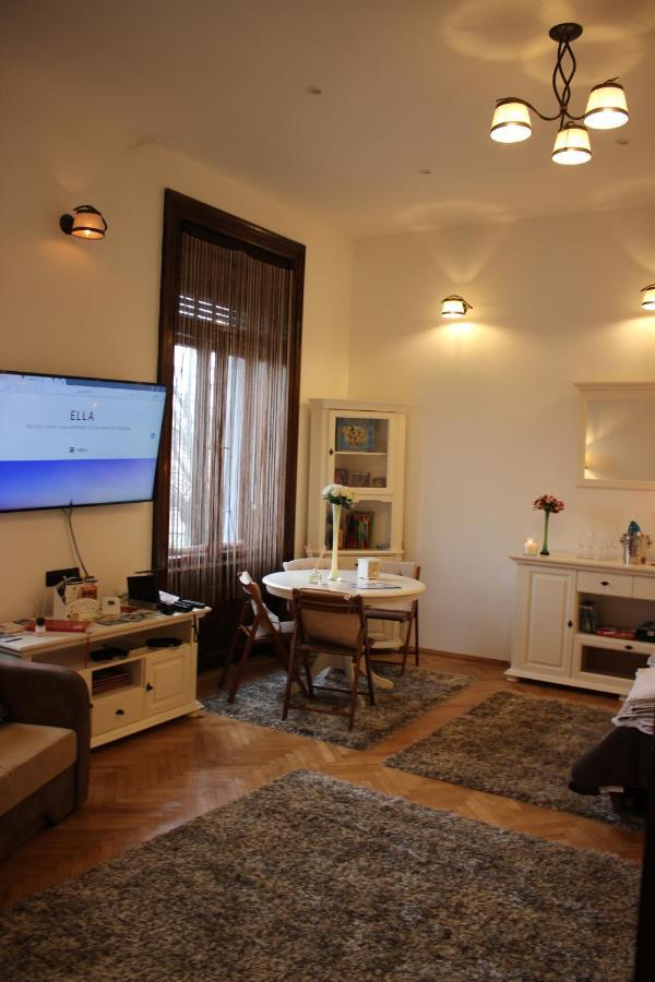 Ella Apartment Timisoara No9 Buitenkant foto