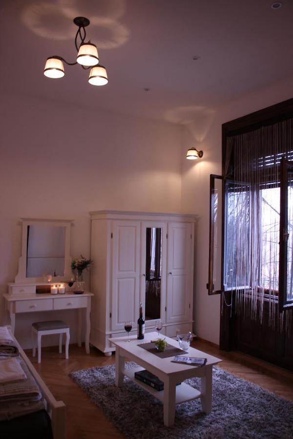 Ella Apartment Timisoara No9 Buitenkant foto