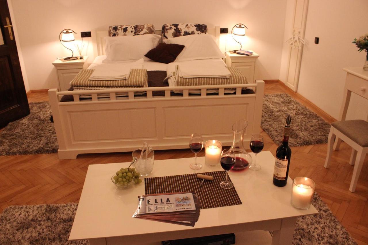 Ella Apartment Timisoara No9 Buitenkant foto