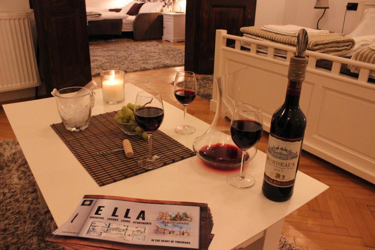Ella Apartment Timisoara No9 Buitenkant foto