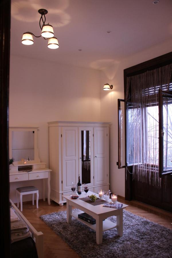 Ella Apartment Timisoara No9 Buitenkant foto