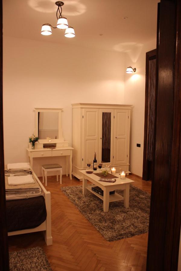 Ella Apartment Timisoara No9 Buitenkant foto