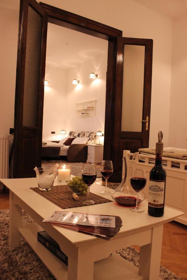 Ella Apartment Timisoara No9 Buitenkant foto
