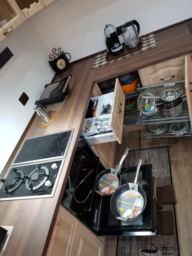 Ella Apartment Timisoara No9 Buitenkant foto